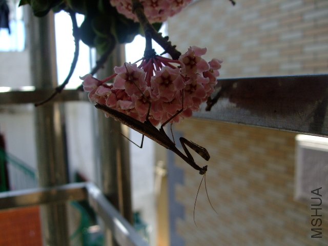 DSCF0877.JPG