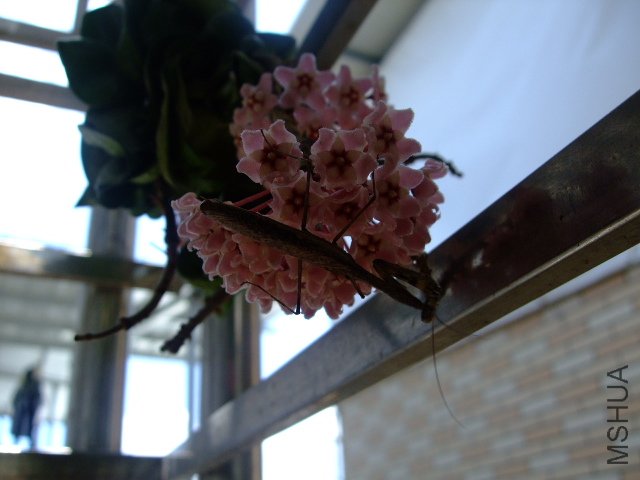 DSCF0878.JPG