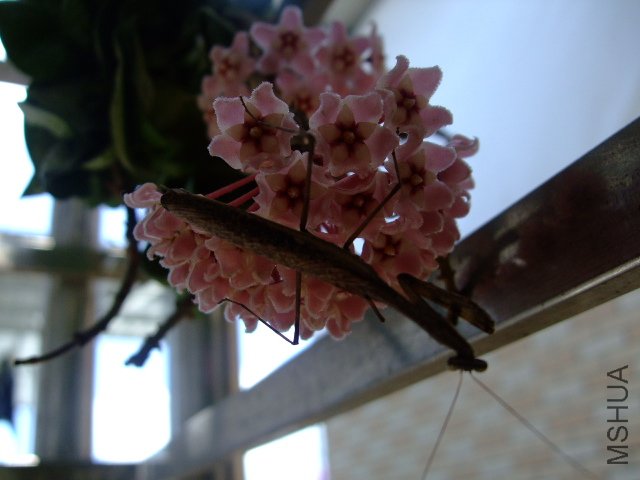 DSCF0879.JPG