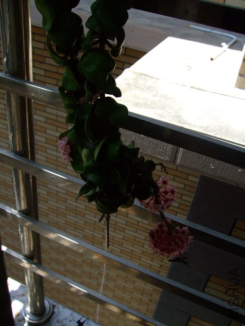 DSCF0880.JPG