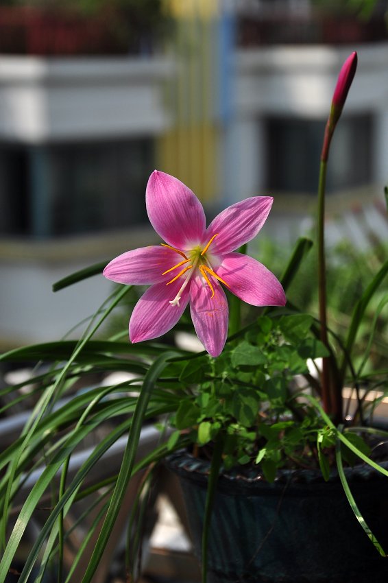 DSC_8194.jpg