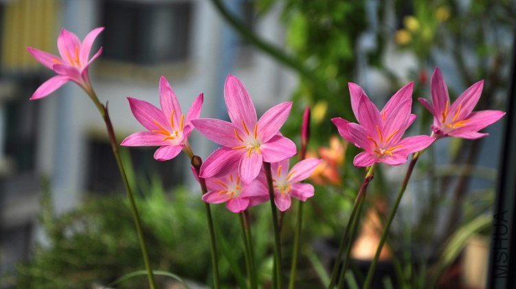 DSC_8213.jpg