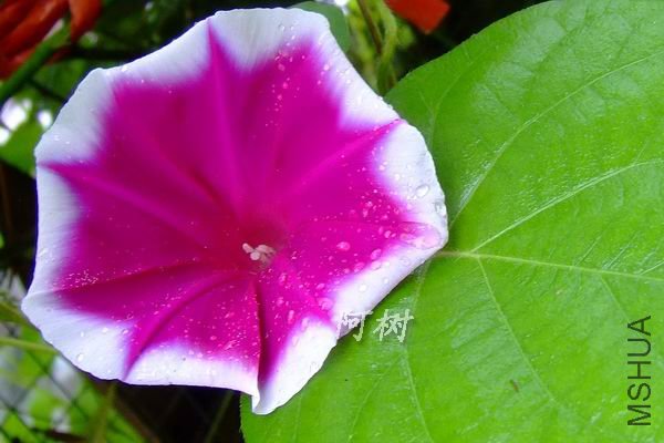 õ�츲�� 2012-0720(004).jpg