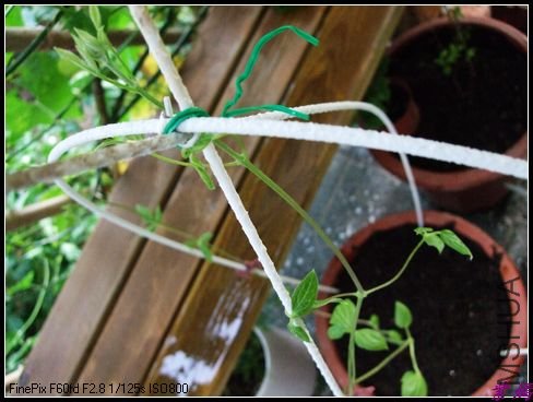 12��8��11���� 005.jpg