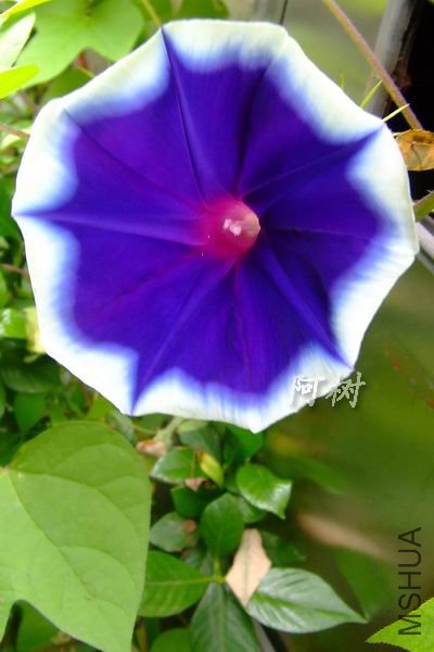 ������ 2012-0715(031).jpg