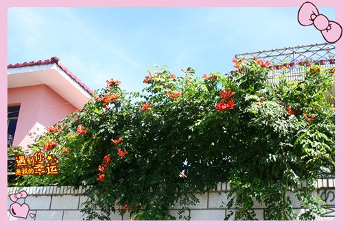 ��Ƭ 128_����.jpg