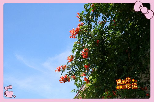 ��Ƭ 127_����.jpg