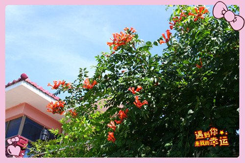 ��Ƭ 125_����.jpg