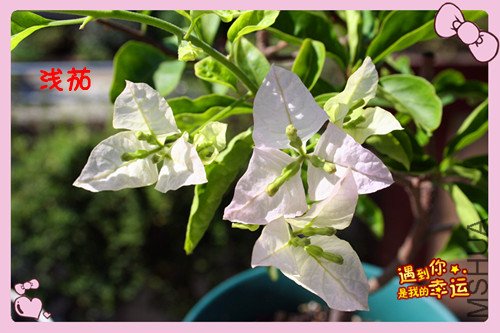 ��Ƭ 043_����K.jpg