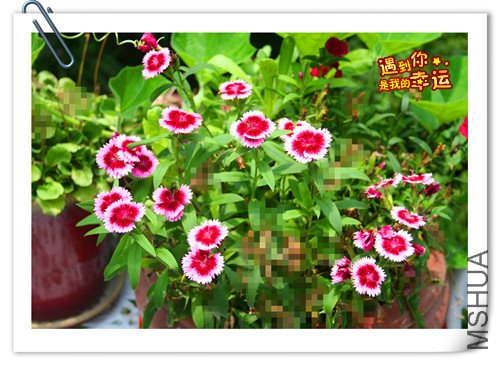 ��Ƭ 119_����.jpg