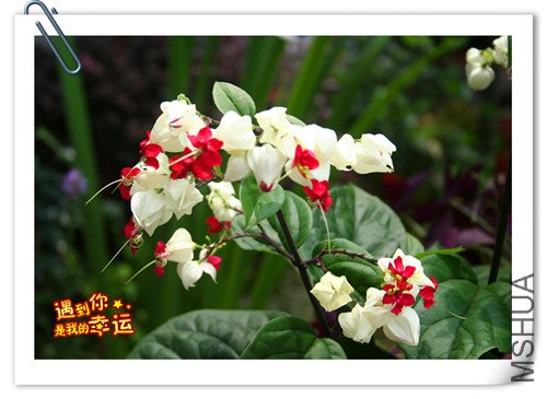 ��Ƭ 102_����.jpg