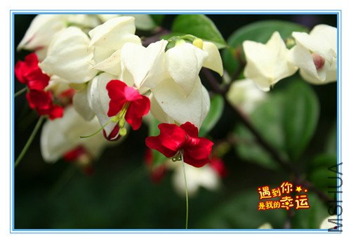 ��Ƭ 104_����.jpg