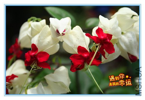 ��Ƭ 105_����.jpg