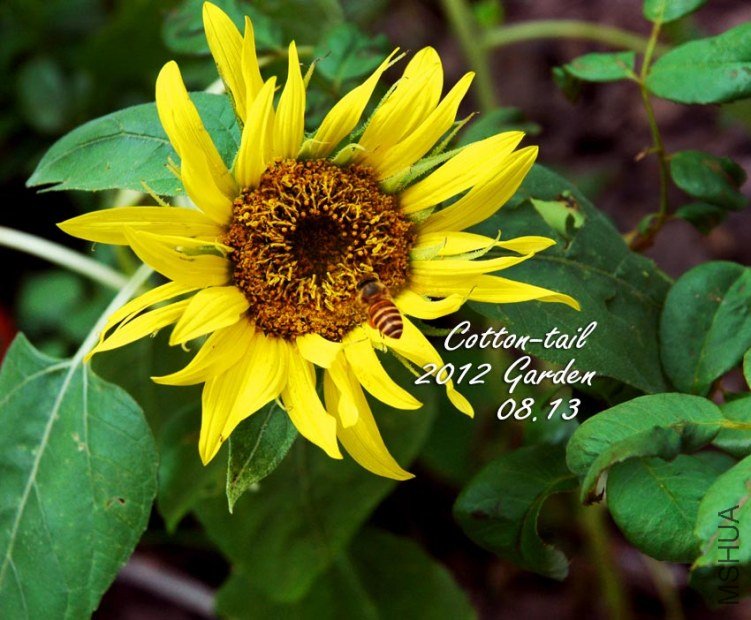 ���в������ʳ��Ĺ��ӣ�������԰����