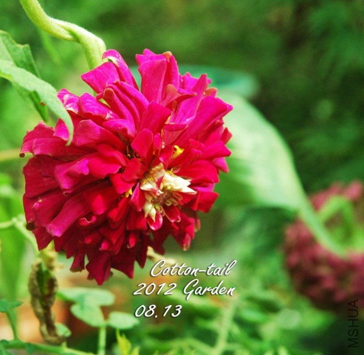 ���ںܳ��������ȡ���˭����������˭