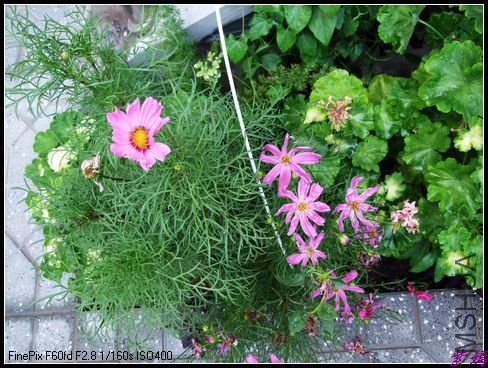 С��Ͳ�˹��