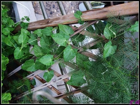 ��դ��С�����ھ�