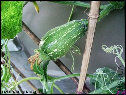 12��8��11���� 035.jpg