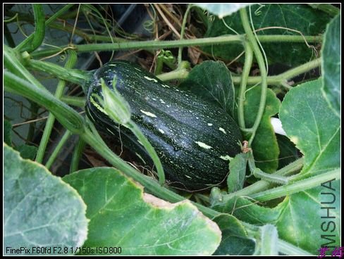 12��8��11���� 036.jpg