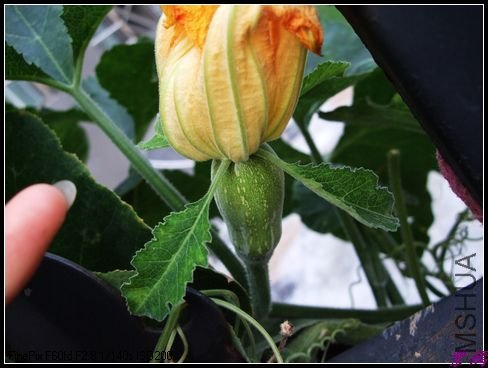 12��8��11���� 037.jpg