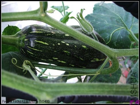 12��8��11���� 038.jpg