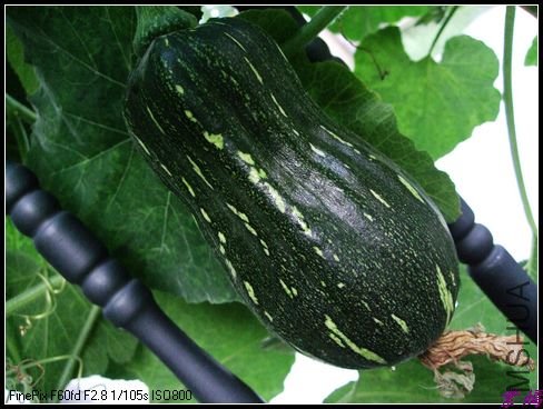 12��8��11���� 039.jpg