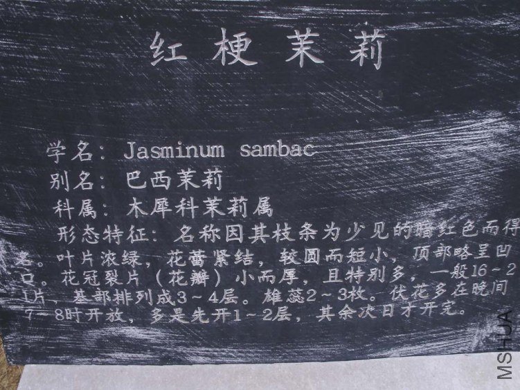�칣����1.jpg