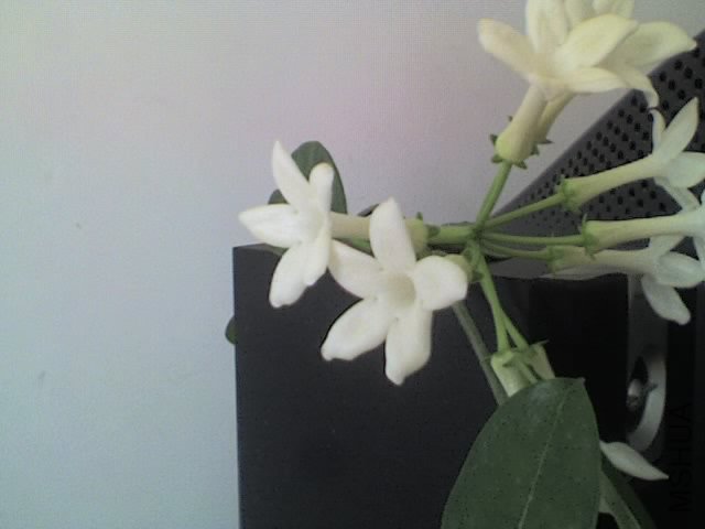 08-07-12_1216.jpg