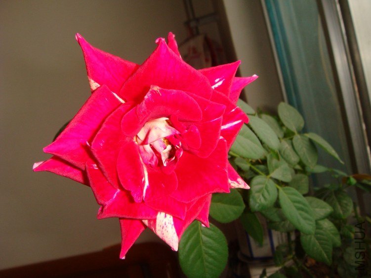 DSC00956.JPG