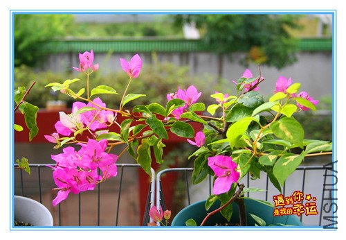 ��Ƭ 021_����.jpg