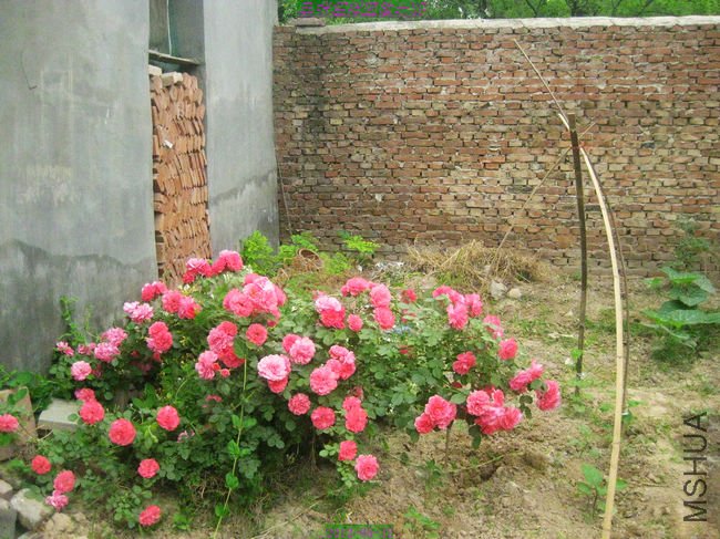 nEO_IMG_��Ƭ 086.jpg