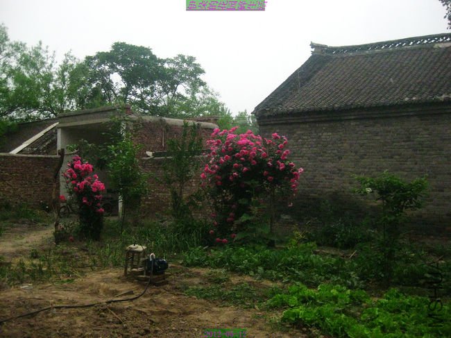 nEO_IMG_��Ƭ 091.jpg