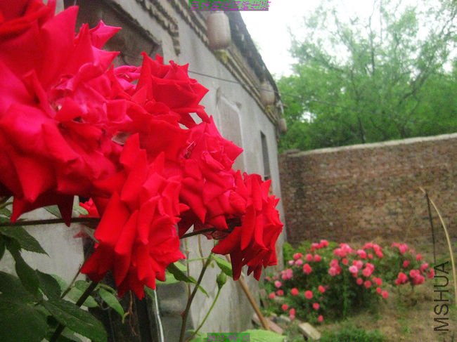 nEO_IMG_��Ƭ 092.jpg