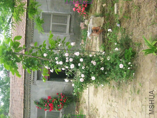 nEO_IMG_��Ƭ 093.jpg