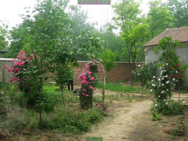 nEO_IMG_��Ƭ 107.jpg