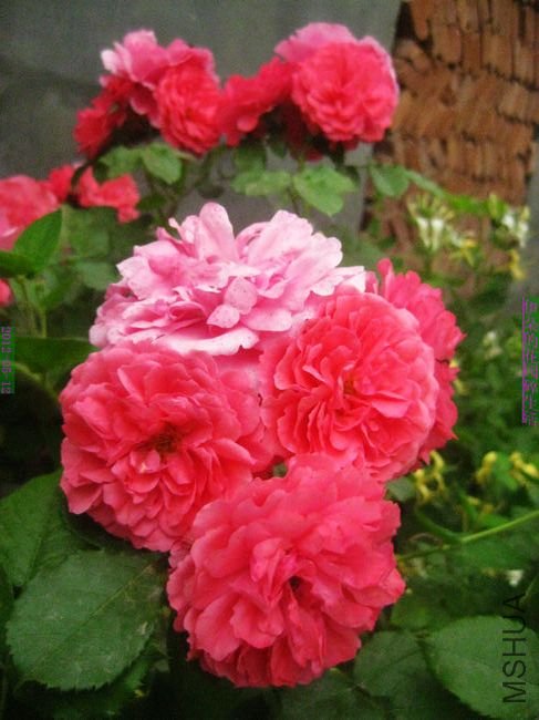 nEO_IMG_��Ƭ 112.jpg