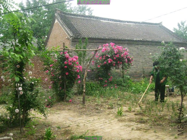 nEO_IMG_��Ƭ 113.jpg