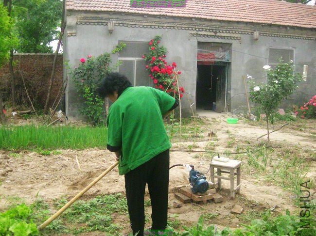 nEO_IMG_��Ƭ 087.jpg