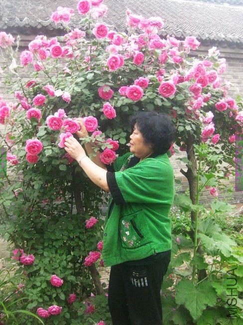 nEO_IMG_��Ƭ 147.jpg