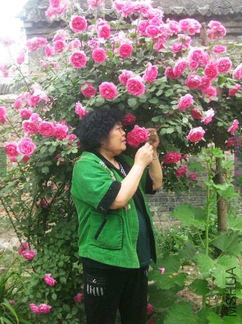 nEO_IMG_��Ƭ 149.jpg