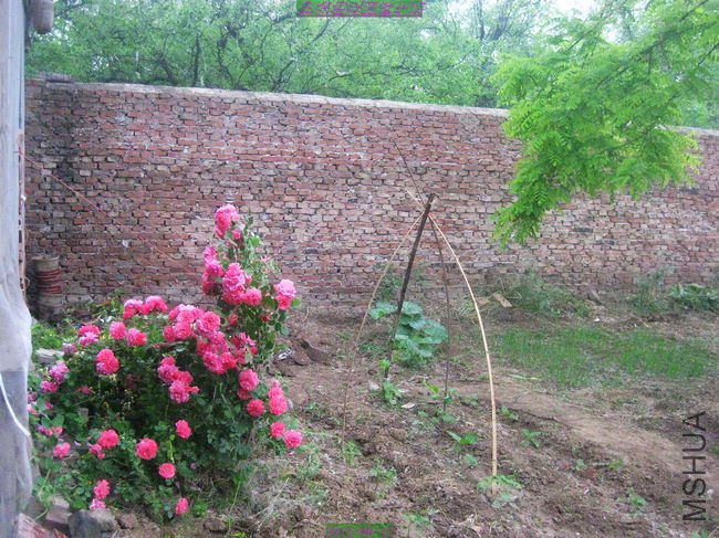 nEO_IMG_��Ƭ 204.jpg