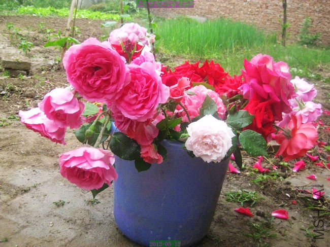 nEO_IMG_��Ƭ 208.jpg