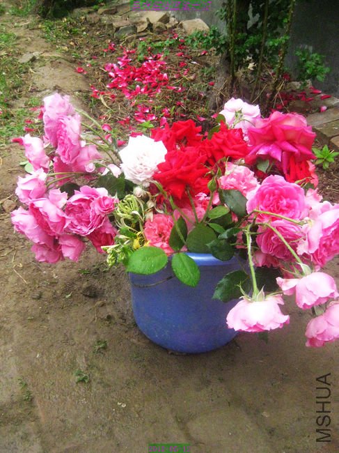 nEO_IMG_��Ƭ 209.jpg