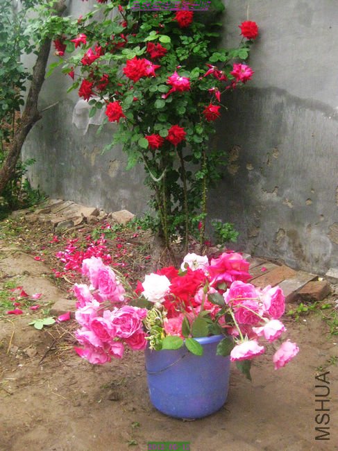 nEO_IMG_��Ƭ 210.jpg