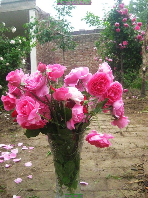 nEO_IMG_��Ƭ 211.jpg