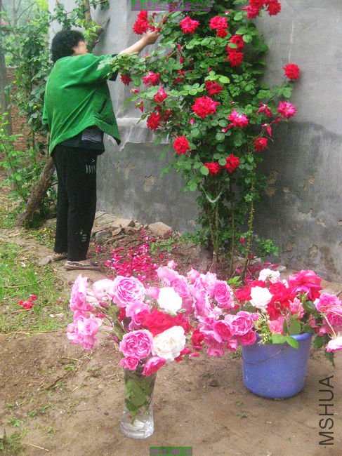 nEO_IMG_��Ƭ 213.jpg