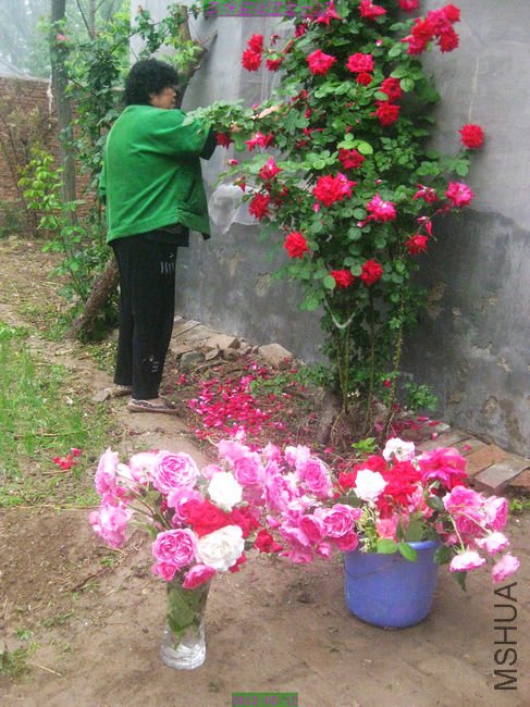 nEO_IMG_��Ƭ 214.jpg