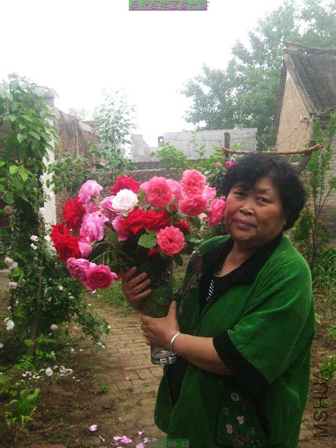 nEO_IMG_��Ƭ 217.jpg