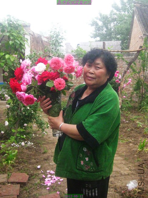 nEO_IMG_��Ƭ 218.jpg