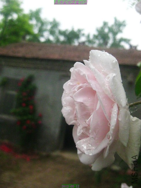 nEO_IMG_��Ƭ 221.jpg